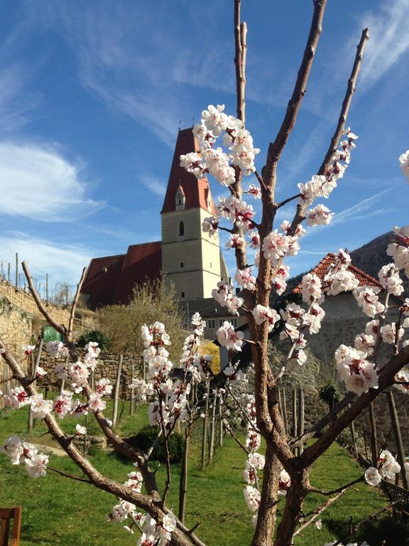 Gaestehaus Haiminger Ehemalig Schmelz Weissenkirchen in der Wachau Kültér fotó